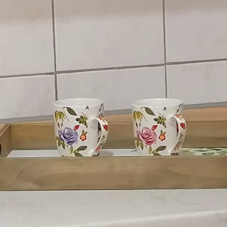 Meena Apartment